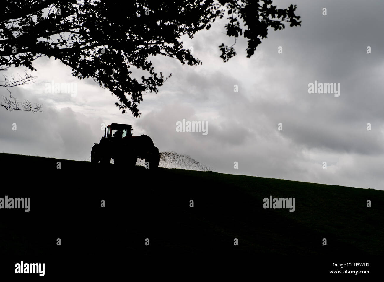 Irish farmer spreads slurry at dusk on his farm with copy space. Stock Photo