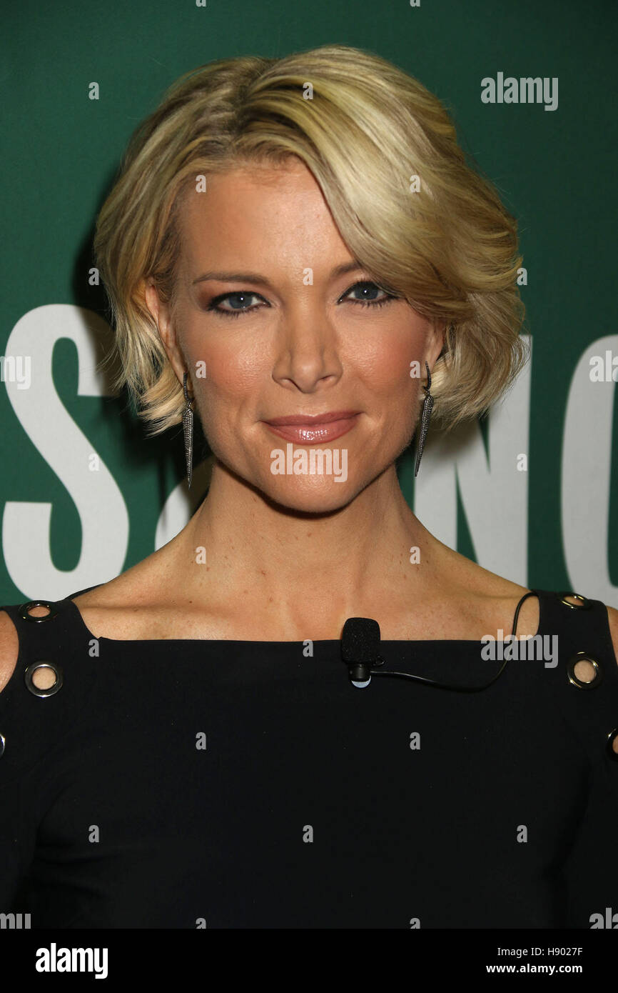 New York, USA. 16th Nov, 2016. Fox News personality Megyn Kelly