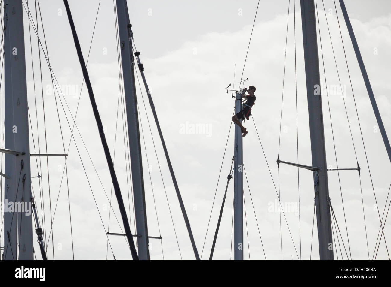 Las Palmas, Gran Canaria, Canary Islands, Spain. 17th November, 2016. Weather: Glorious sunshine (29 degrees Celcius) as crews prepare their yachts for the world`s largest transocean sailing event, the ARC Transatlantic.  The race/rally starts in Las Palmas (on 20th November) and finishes in Rodney Bay on Santa Lucia in The Caribbean. Crews from more than 40 different countries, including many from Great Britain, will be on board approximately 300 making the crossing. PICTURED: Sailor climbing mast to carry out repairs Credit:  Alan Dawson News/Alamy Live News Stock Photo