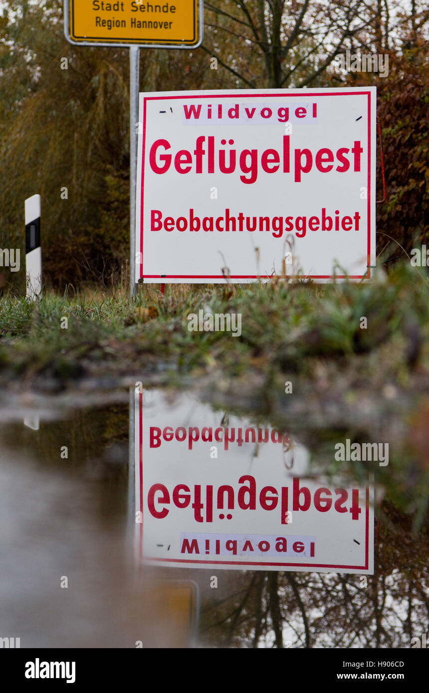 Sehnde, Germany. 17th Nov, 2016. A sign informing drivers that they are in a avian flu observation zone near Sehnde, Germany, 17 November 2016. Scientists confirmed that tests carried out on a wild duck proved positive for the highly infectious avian flu strain H5N8. Photo: Julian Stratenschulte/dpa/Alamy Live News Stock Photo