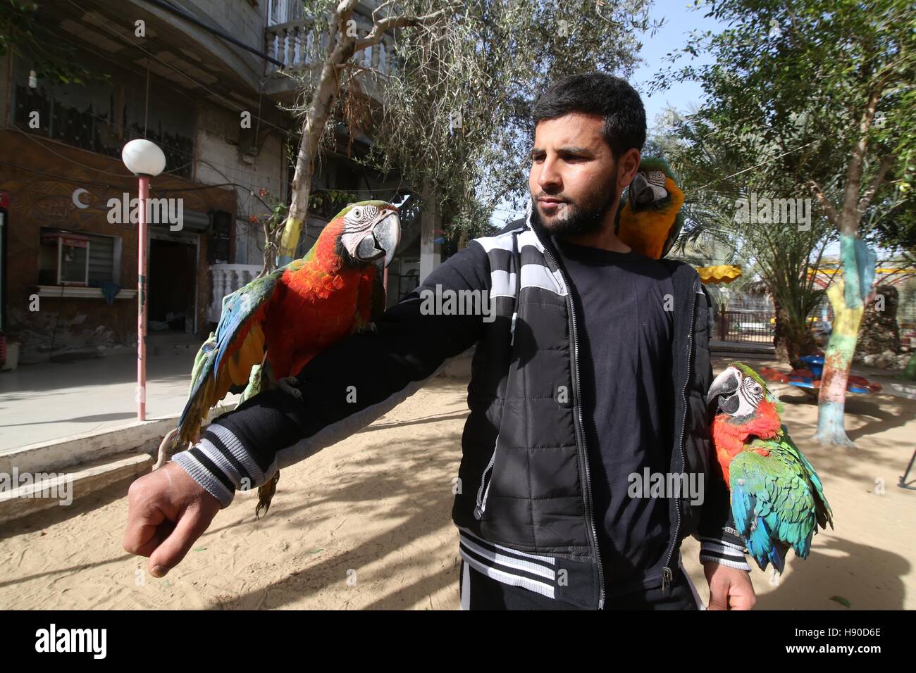 Gaza, Palestinian Territory. 8th Jan, 2017. A Palestinian zoo keeper