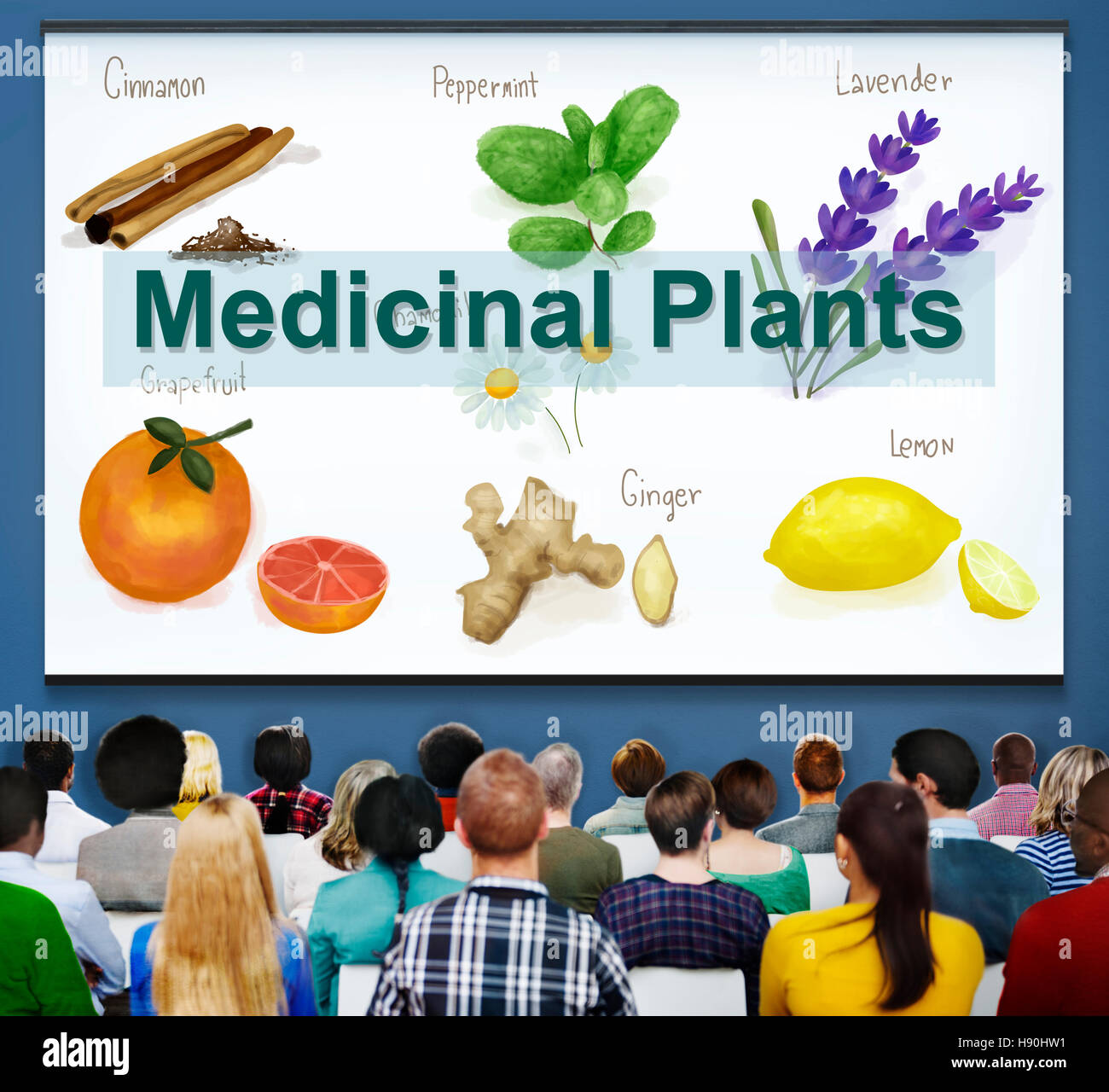 Medicinal Plants Natural Cure Herb Herbalism Concept Stock Photo Alamy
