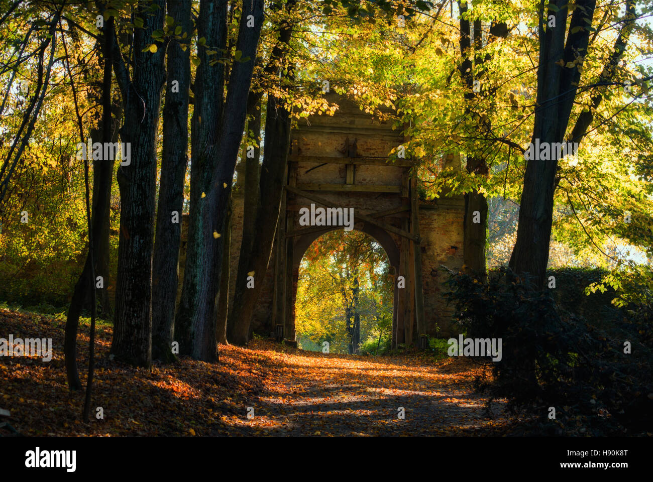 Mysterious gate in the autumn Park. Stock Photo