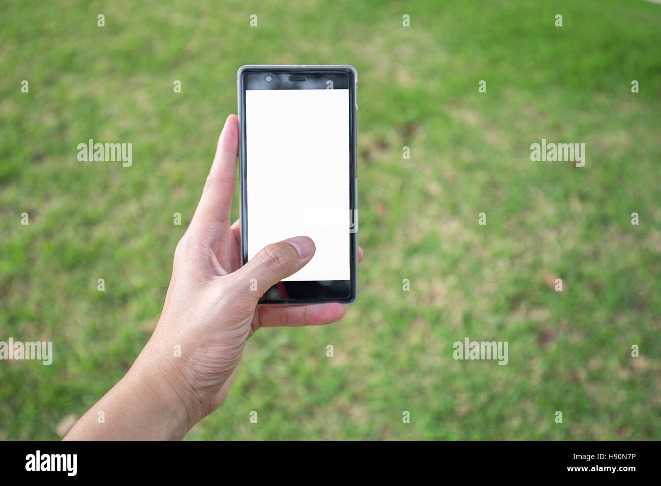 Man's left hand hold blank white screen mobile phone with blurry scene of green grass in park. Stock Photo