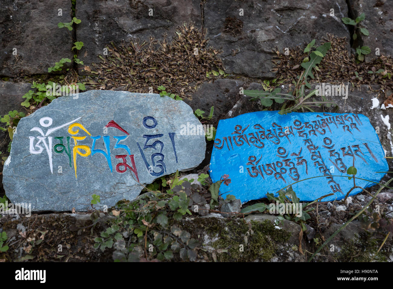 Carved stones with Buddhist messages along the path in Dharamsala, India Stock Photo