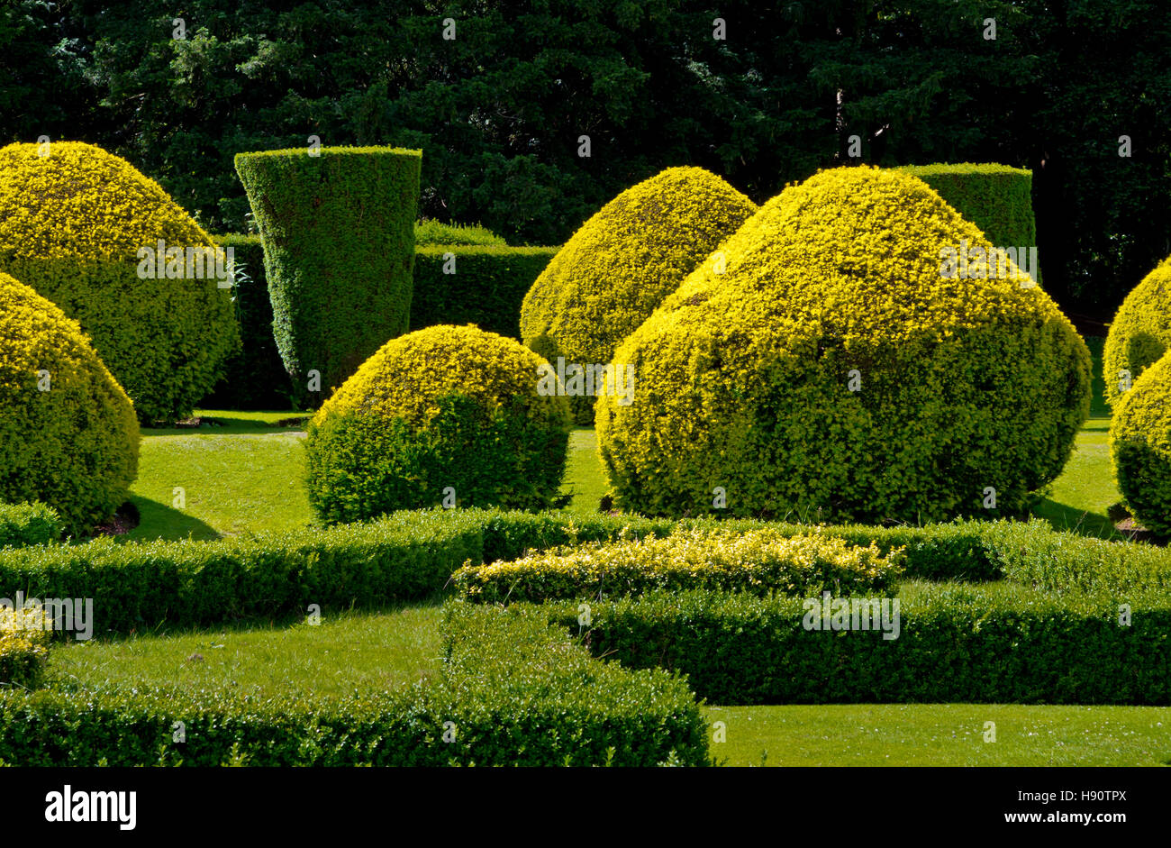 Topiary at Elvaston Castle a gothic revival stately home in grounds of ...