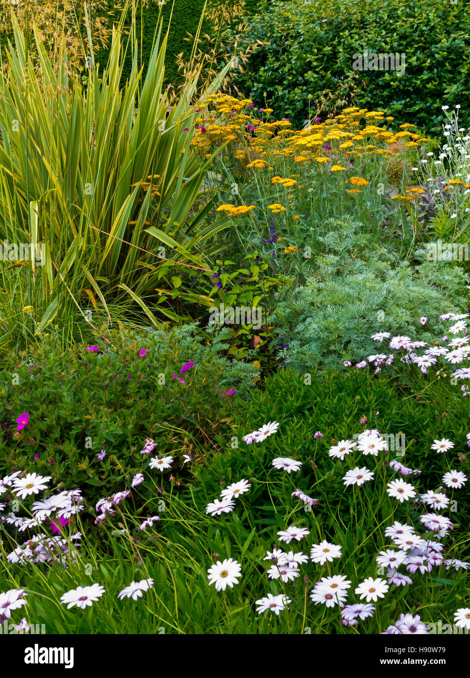Elvaston Castle Garden High Resolution Stock Photography and Images - Alamy