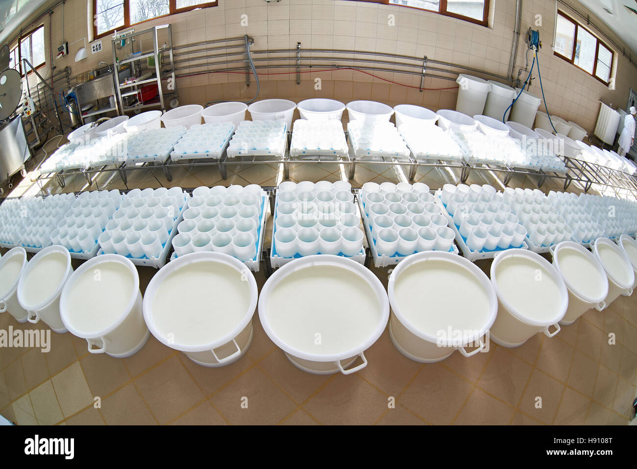 Soft cheese production room with plastic capacities with milk Stock Photo