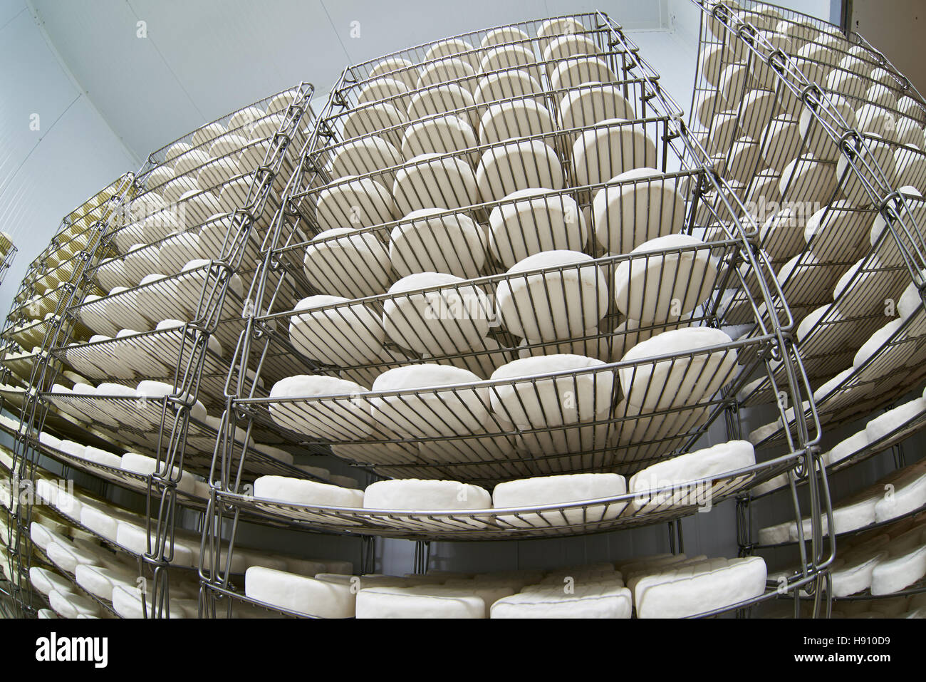 Cheese ripening shelves hires stock photography and images Alamy