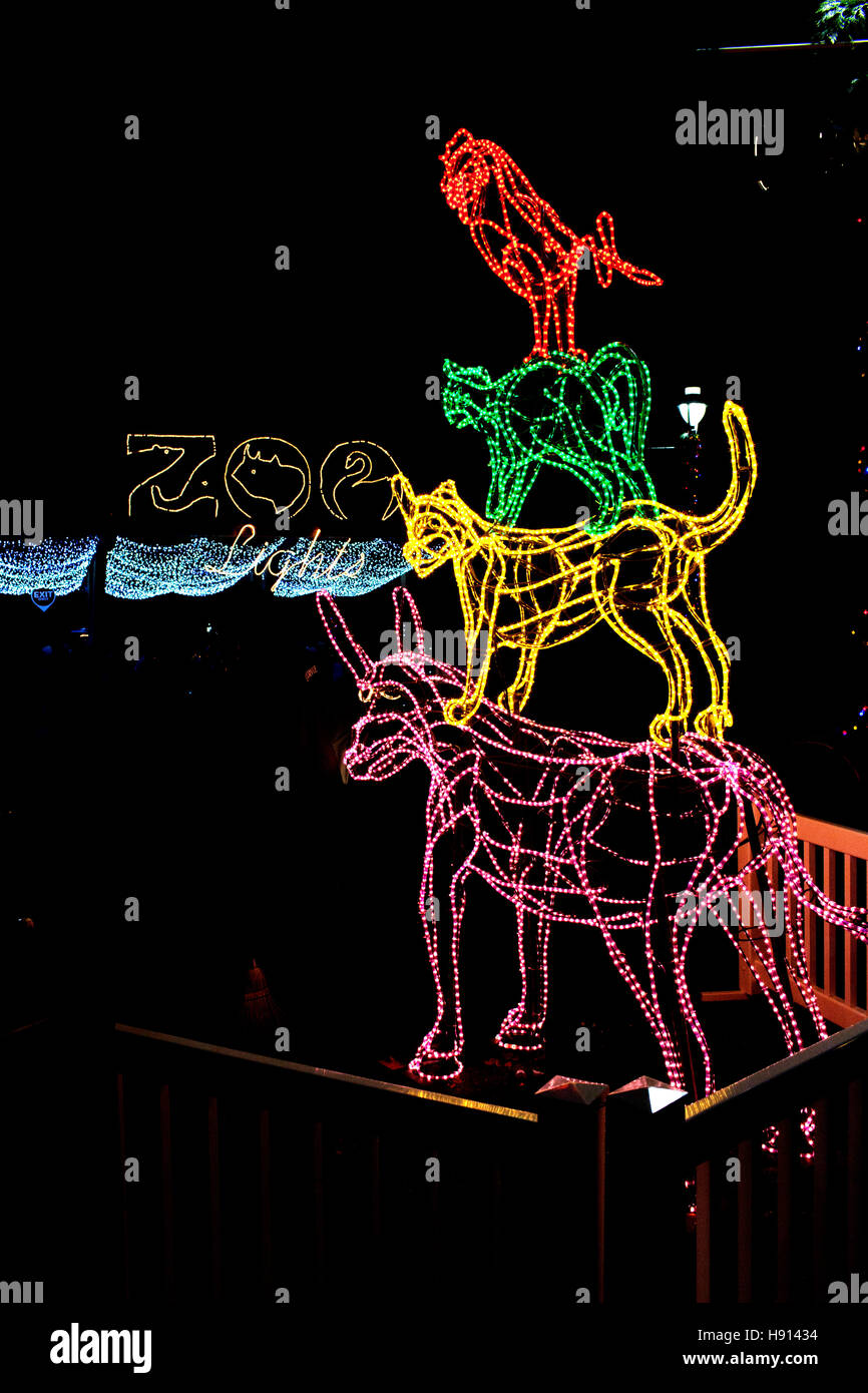 USA. Portland. Oregon. Every Christmas Portland Zoo attracts many visitors for their winter festival illuminations. Stock Photo