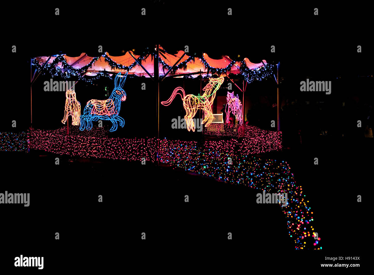 USA. Portland. Oregon. Every Christmas Portland Zoo attracts many