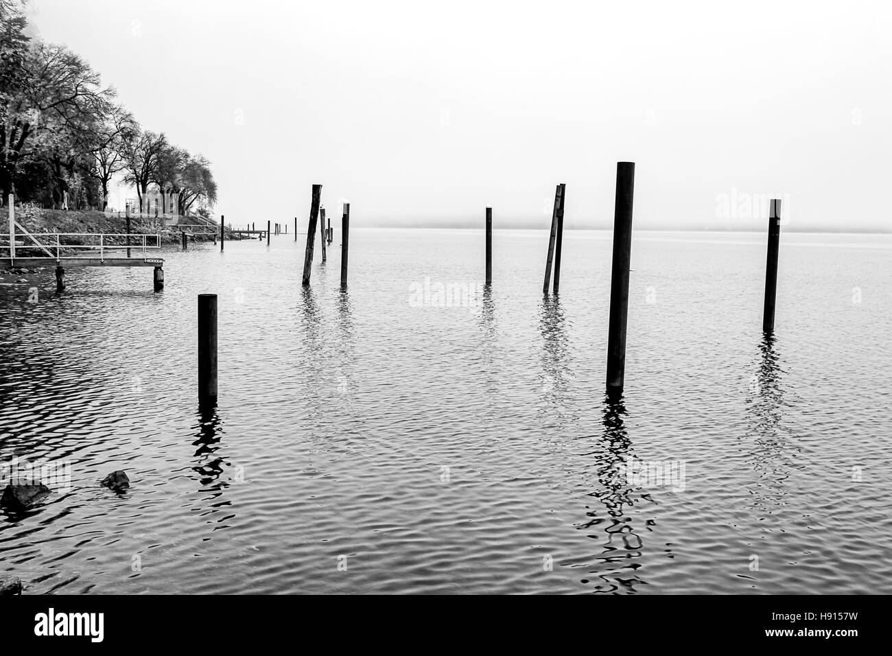 A B&W image of wood pilings in the water of Coeur d'Alene Lake in Idaho on a foggy day. Stock Photo