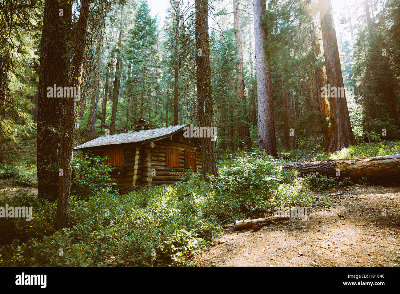 Cabin In Yosemite National Park Stock Photo 126031248 Alamy