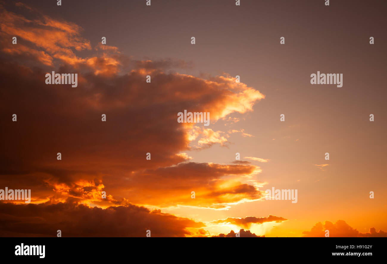 Natural photo background with colorful evening sky with warm tonal correction filter Stock Photo