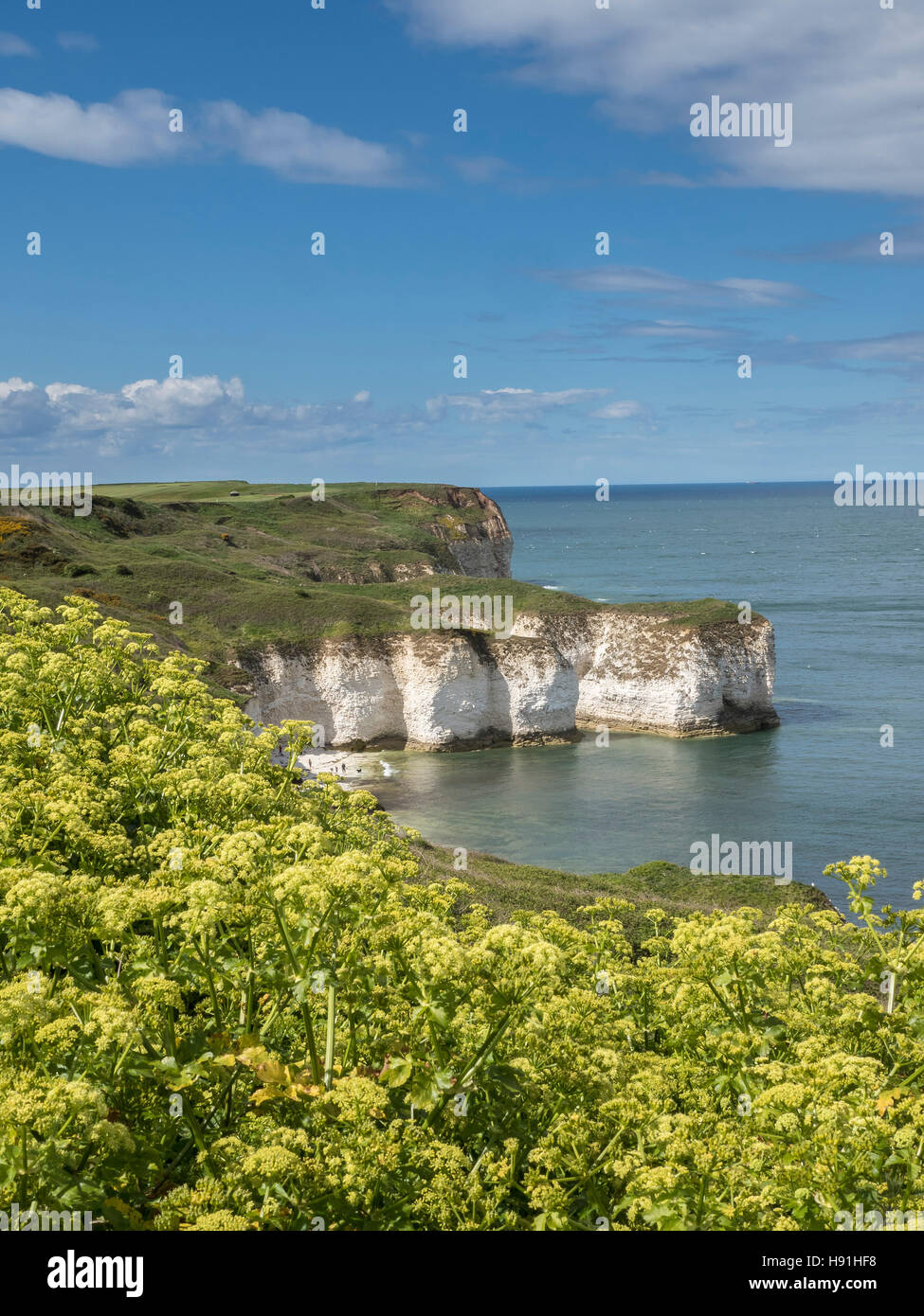Selwicks Bay, Flamborough Head, East Yorkshire Stock Photo Alamy