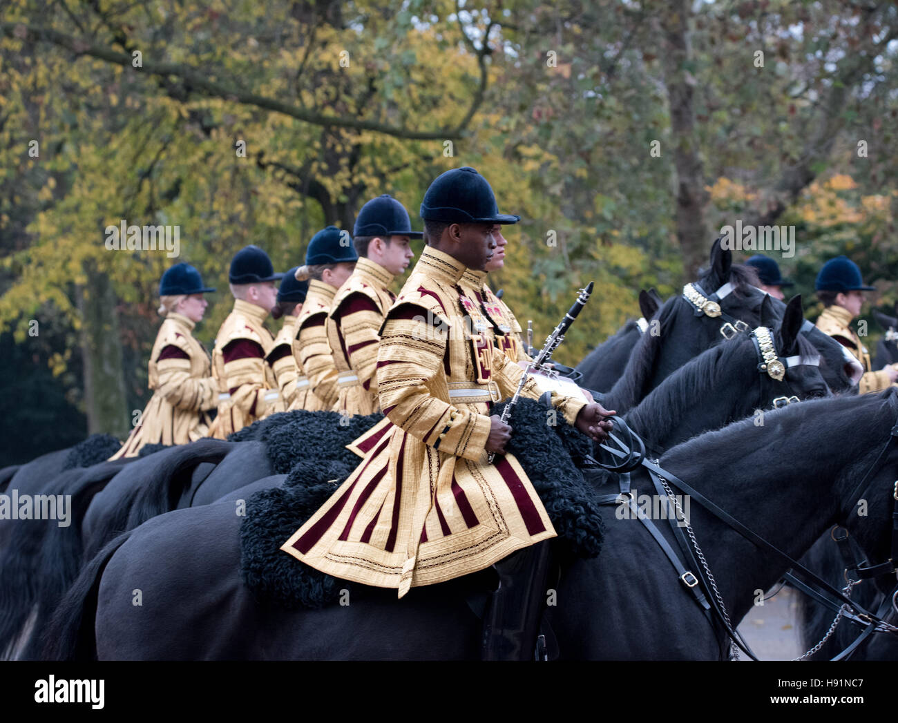Household Cavalry band on ceremonial parade, London Stock Photo