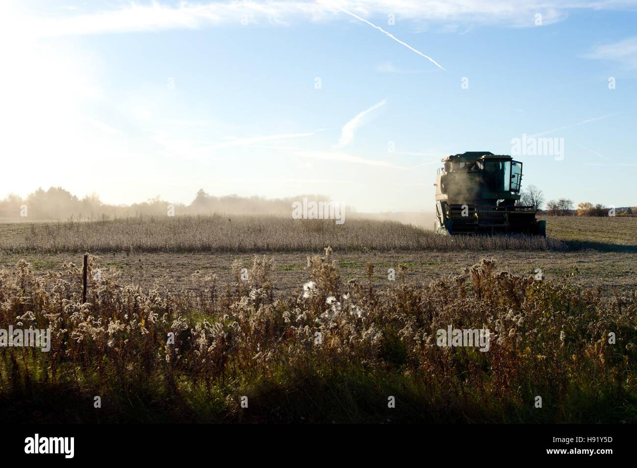 Combine harvester working a field in Stouffville Canada Stock Photo