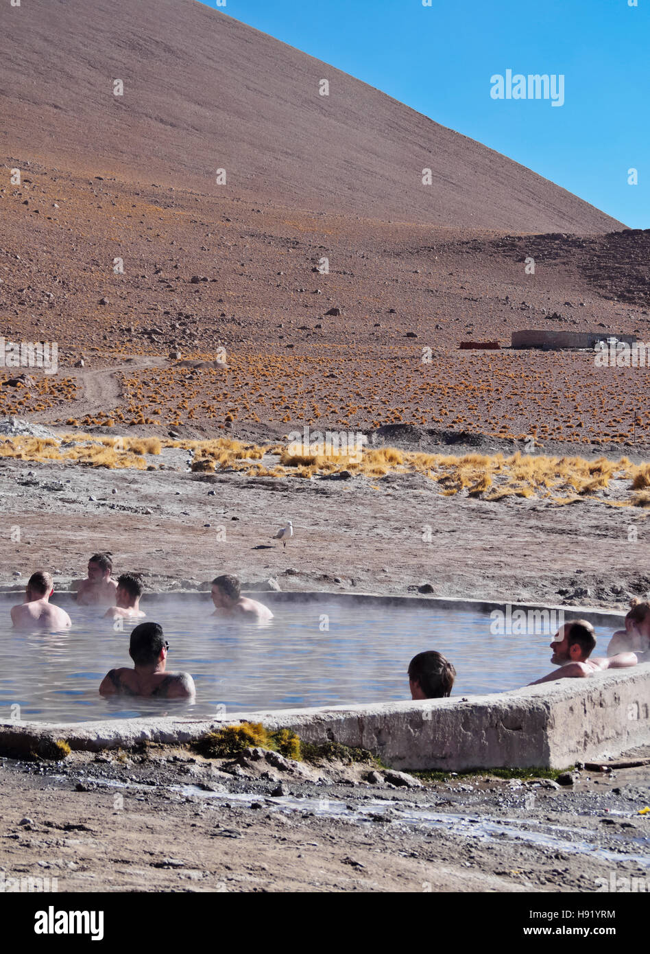 Bolivia, Potosi Departmant, Sur Lipez Province, Eduardo Avaroa Andean Fauna National Reserve, View of the Hot Springs. Stock Photo