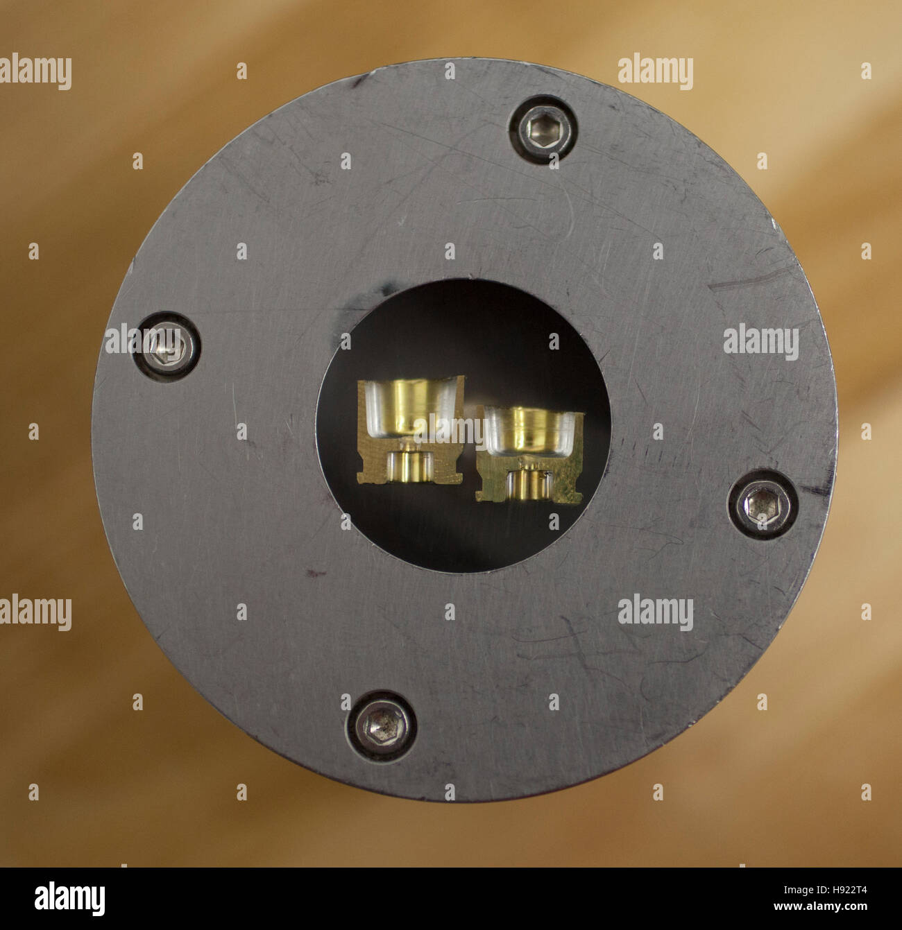 Case head split and mounted in polymer that is polished for hardness