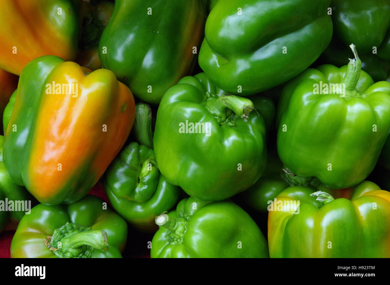 Greenish orange whole bell peppers piled for market display Stock Photo ...