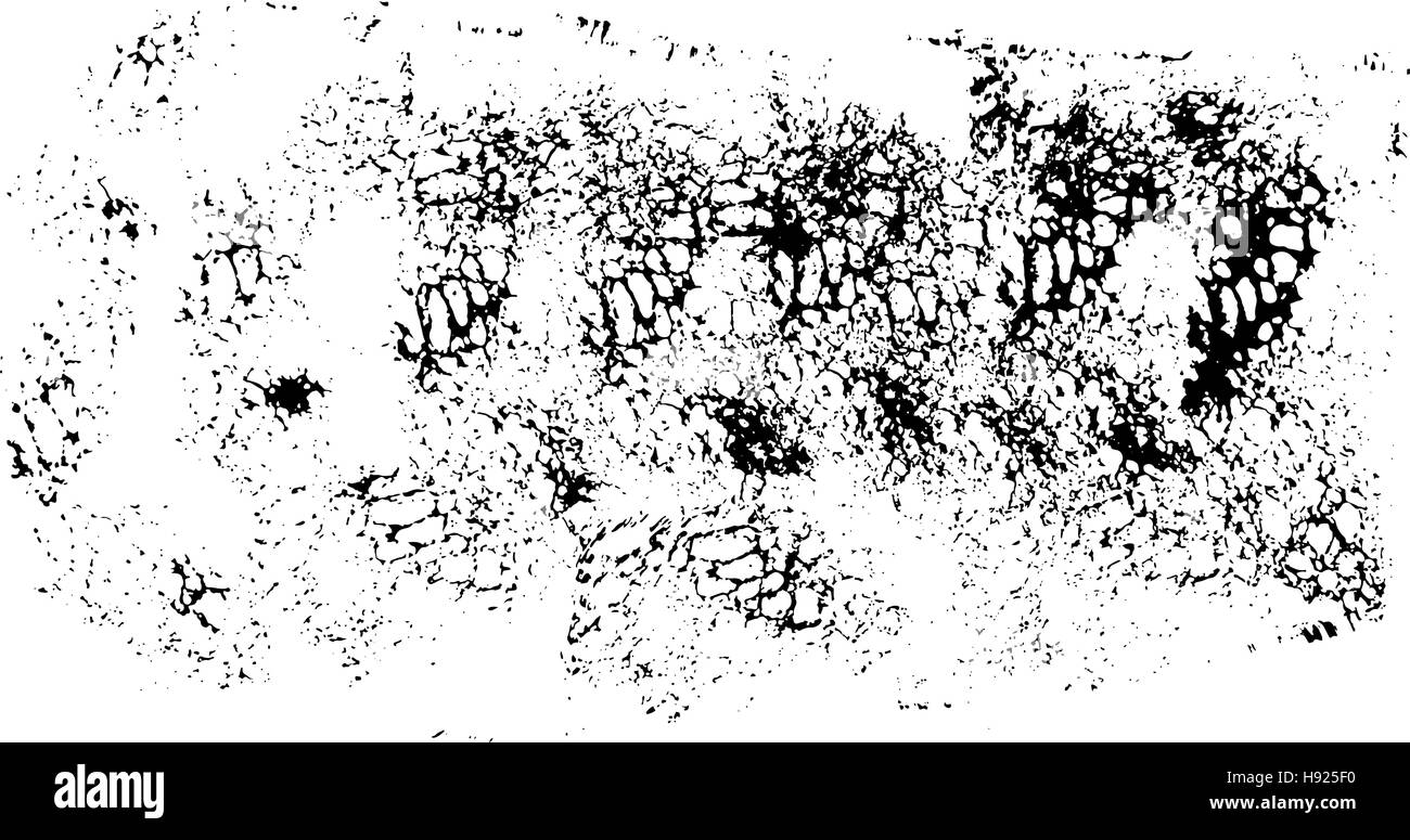 Abstract black sponge stains texture. Design for your brushes and