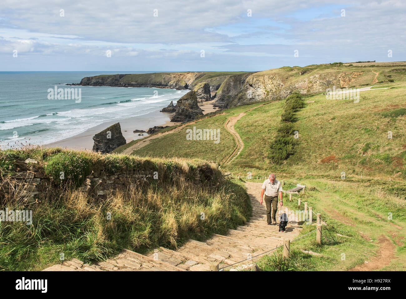 A dog walker on the South West Coastal path at Bedruthan Steps in Cornwall. Stock Photo