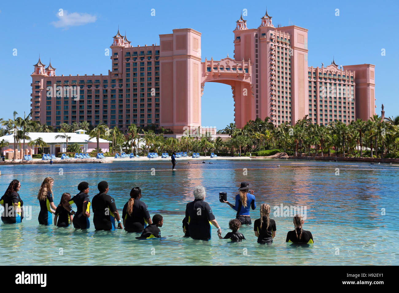 Dolphin Cay at Atlantis resort, Paradise Island, Bahamas Stock Photo