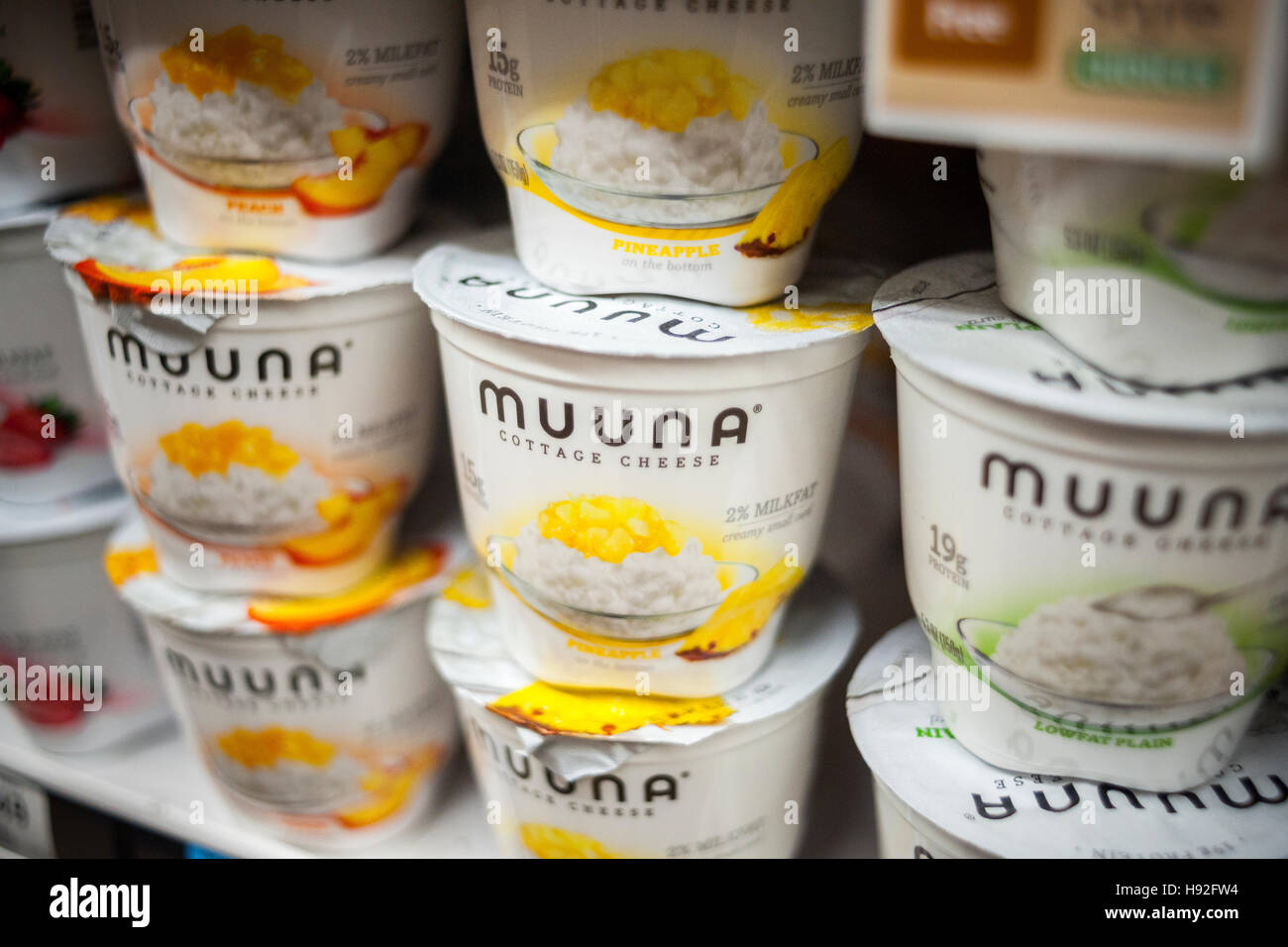 Containers Of Muuna Brand Flavored Cottage Cheese In A Supermarket