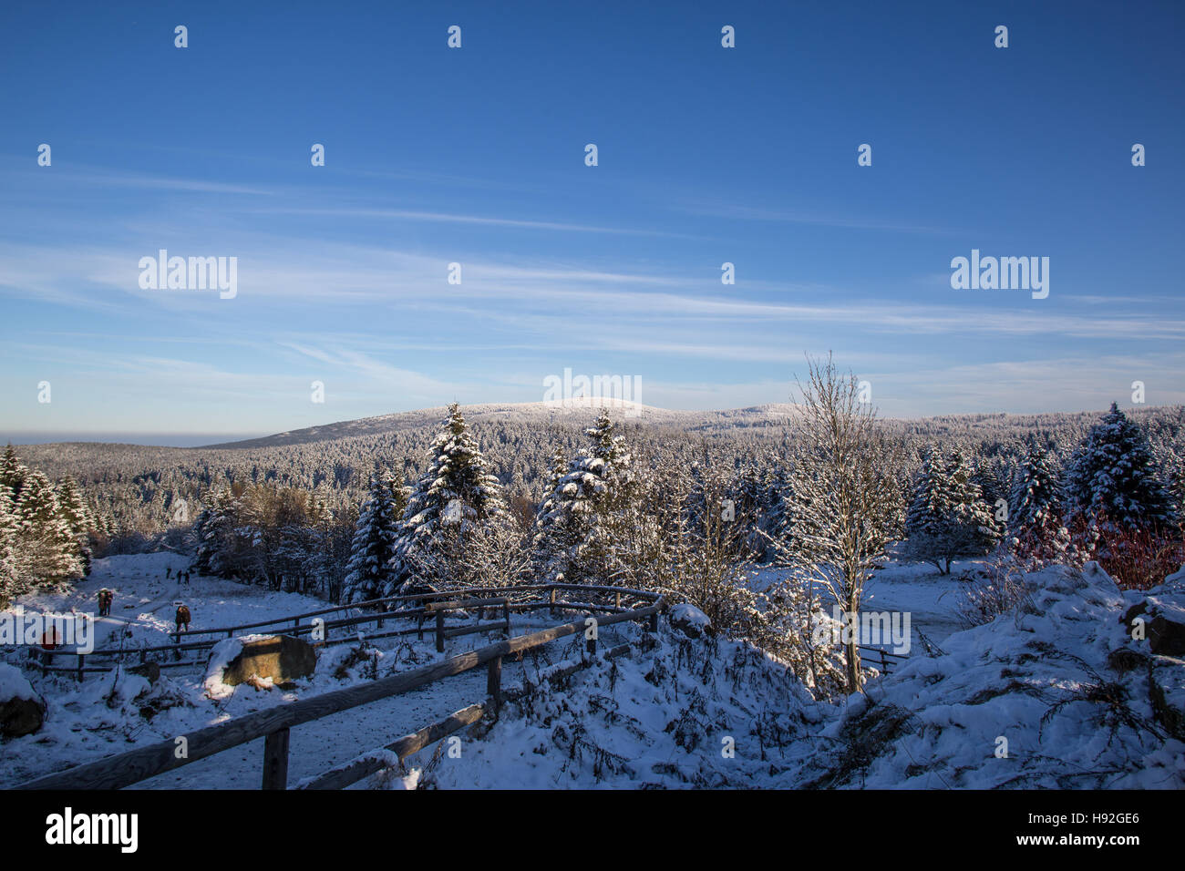 Harz Mountains Germany Toboggan High Resolution Stock Photography and
