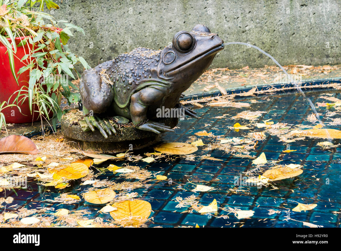 Frog fountain, Park and Tilford Gardens, N. Vancouver, British Columbia, Canada. Stock Photo