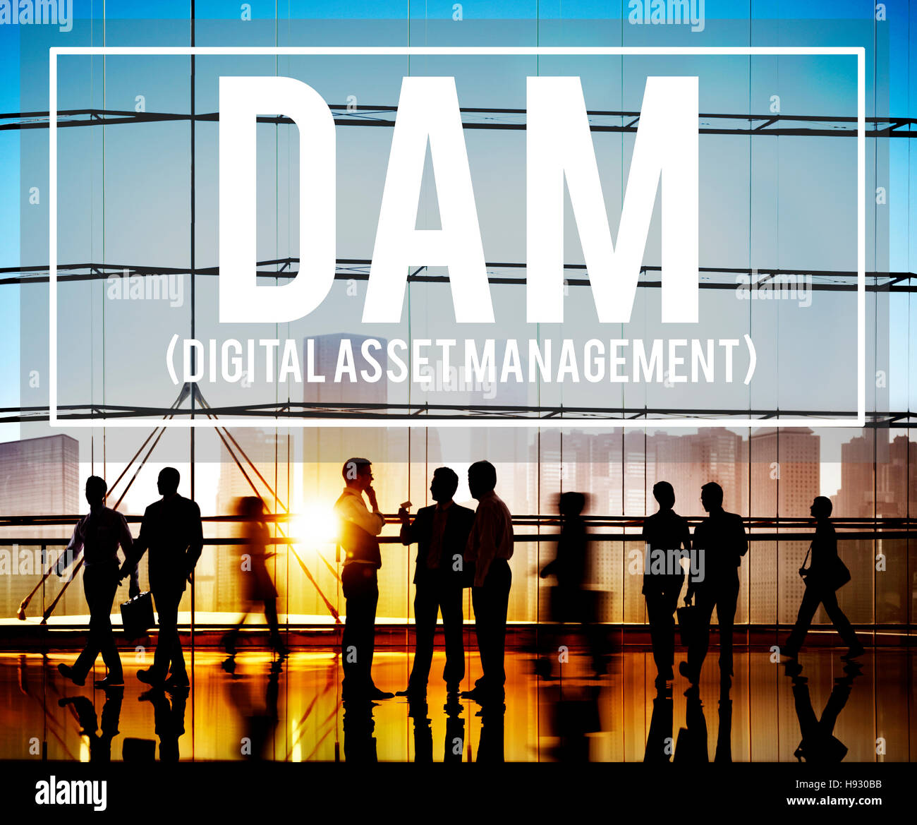 DAM Digital Asset Management Organization Concept Stock Photo Alamy