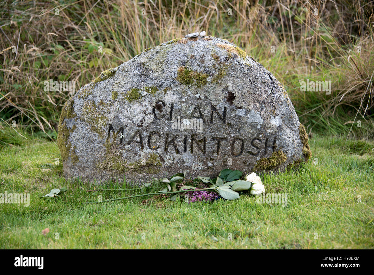 Battle of Culloden clan memorial stone marker (Clan Mackintosh). Stock Photo