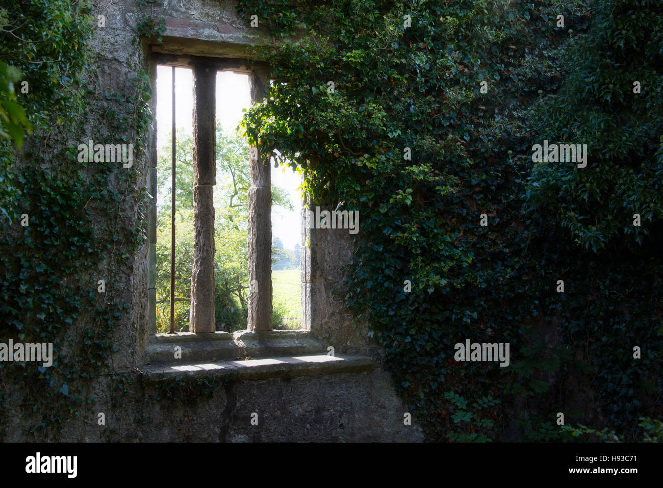 Window located in the Culross West Kirk Parish Church. Film location for the Black Kirk in 'Outlander'. Stock Photo