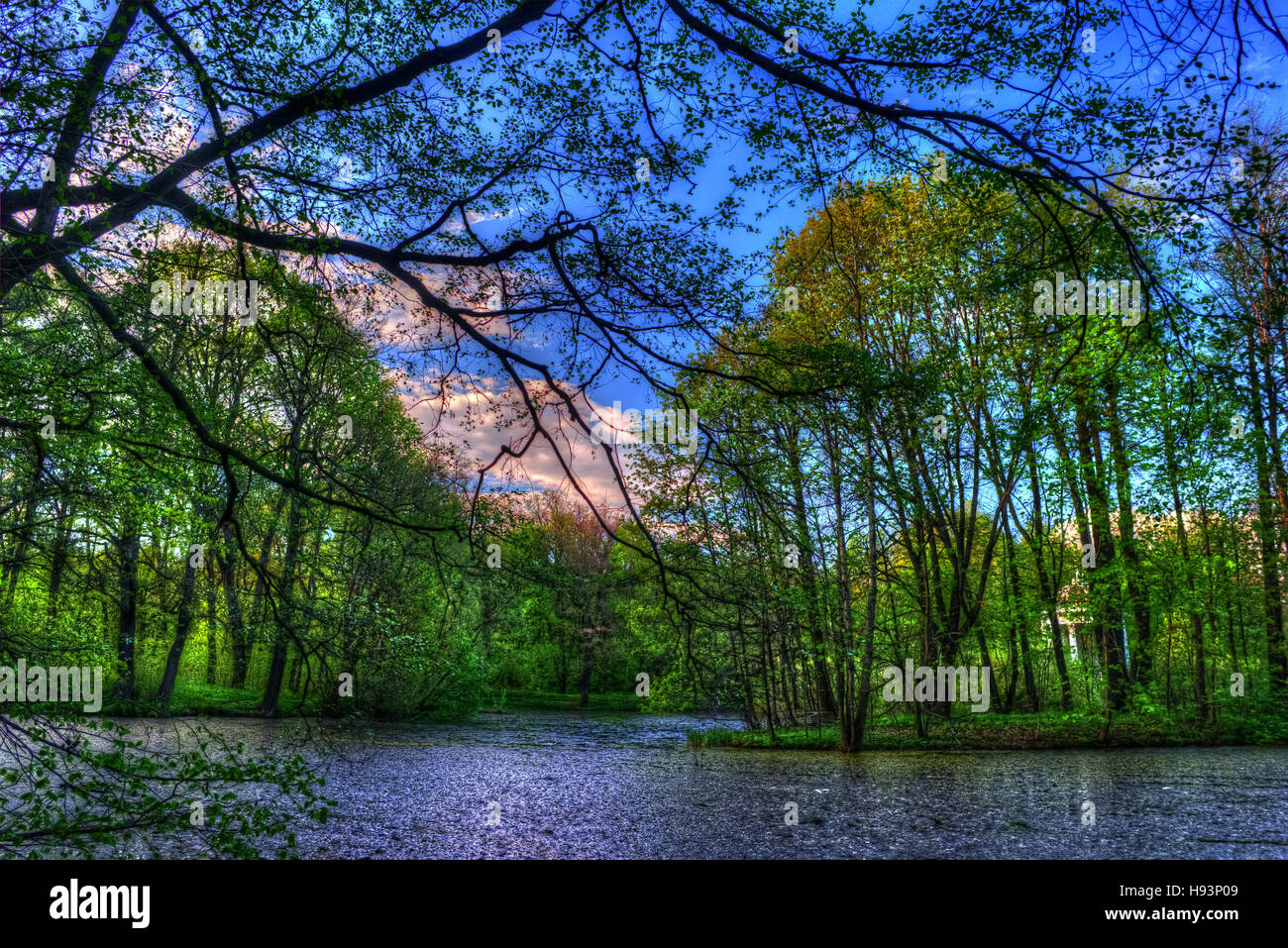 Summer landscape. Green trees around the lake Stock Photo - Alamy