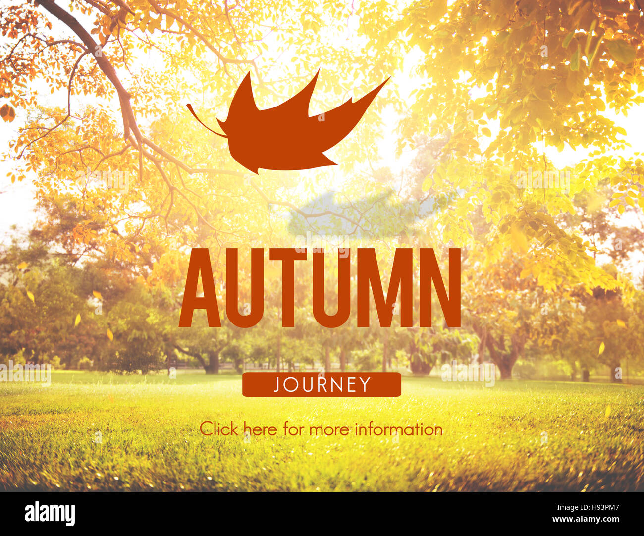 Autumn Fall Foliage Fresh Nature Season Vibrant Concept Stock Photo