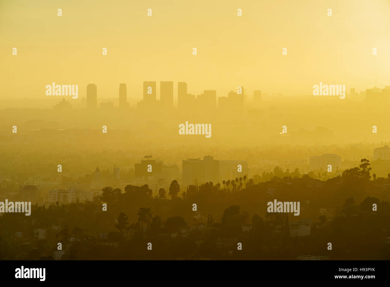 Los Angeles Westwood Sunset Cityscape from Griffith Park, California ...