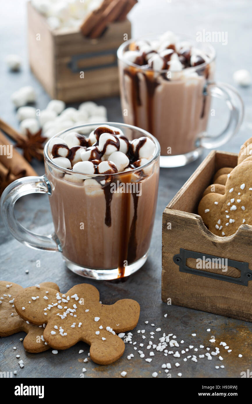 Hot cocoa with marshmallows and cookies Stock Photo Alamy