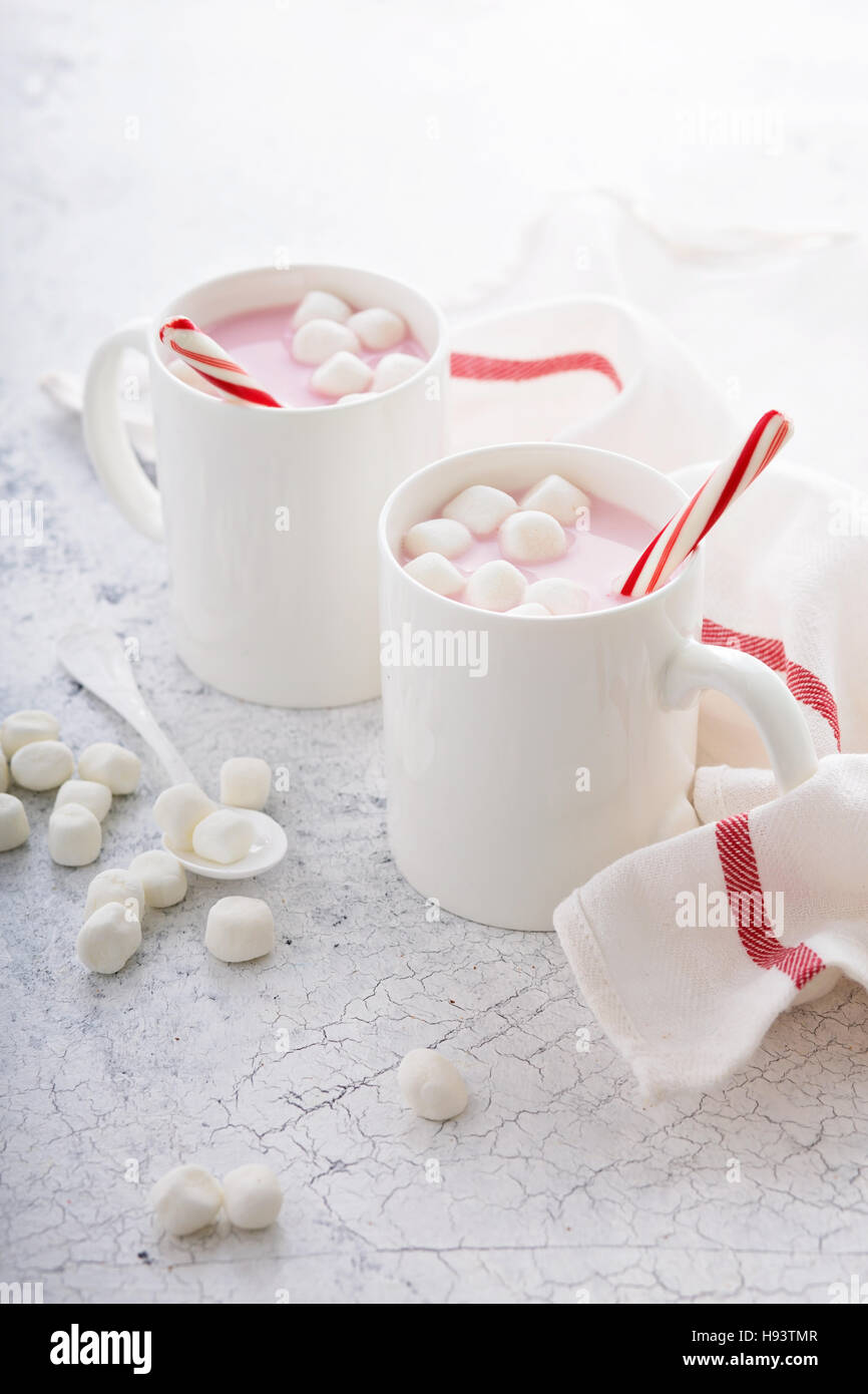 Peppermint hot chocolate with candy canes Stock Photo Alamy