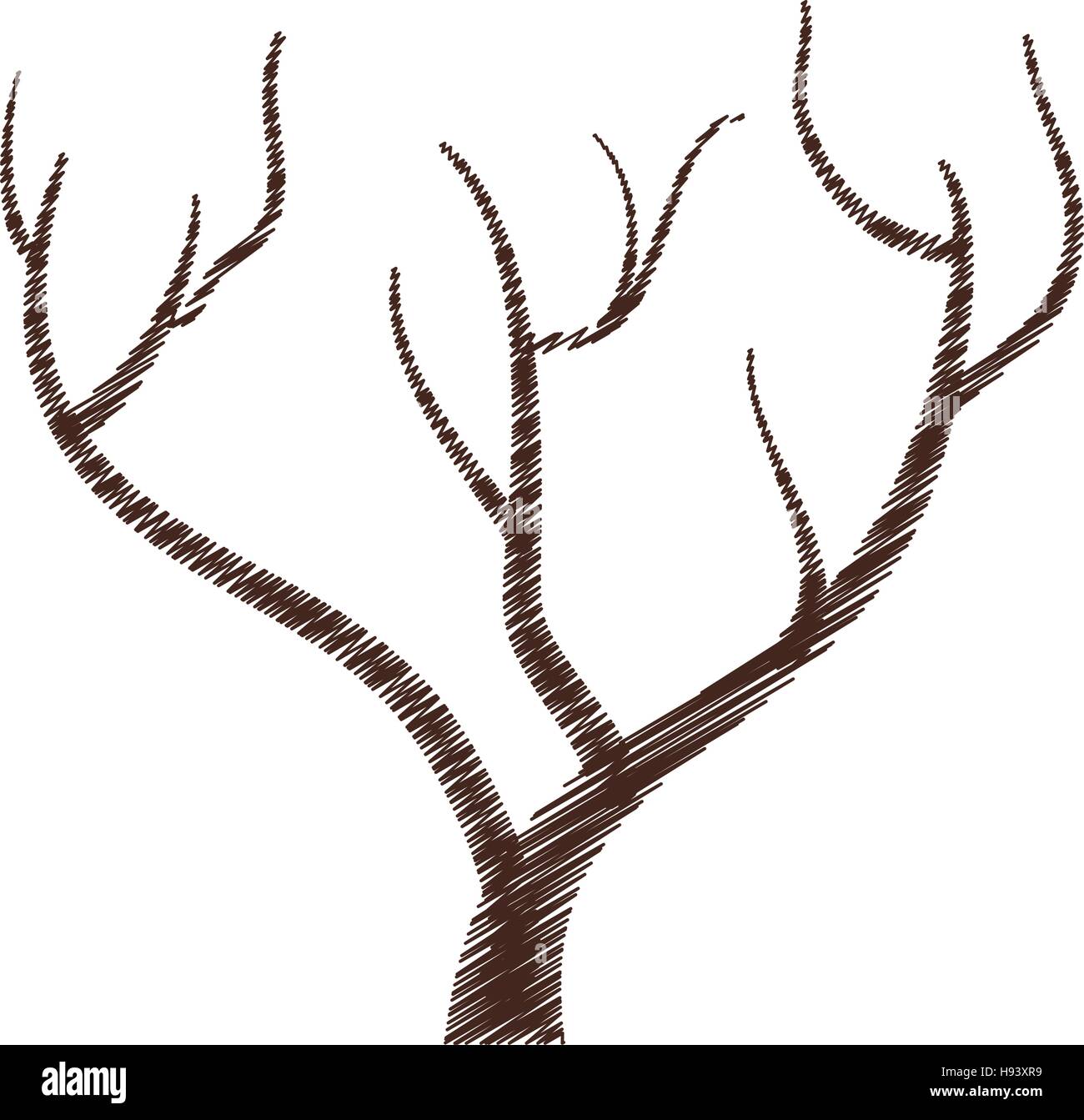 tree branch hand drawing isolated icon Stock Vector Image & Art - Alamy