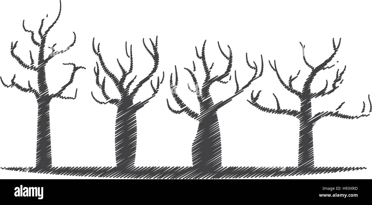 tree forest branch hand drawing isolated icon Stock Vector Image & Art ...