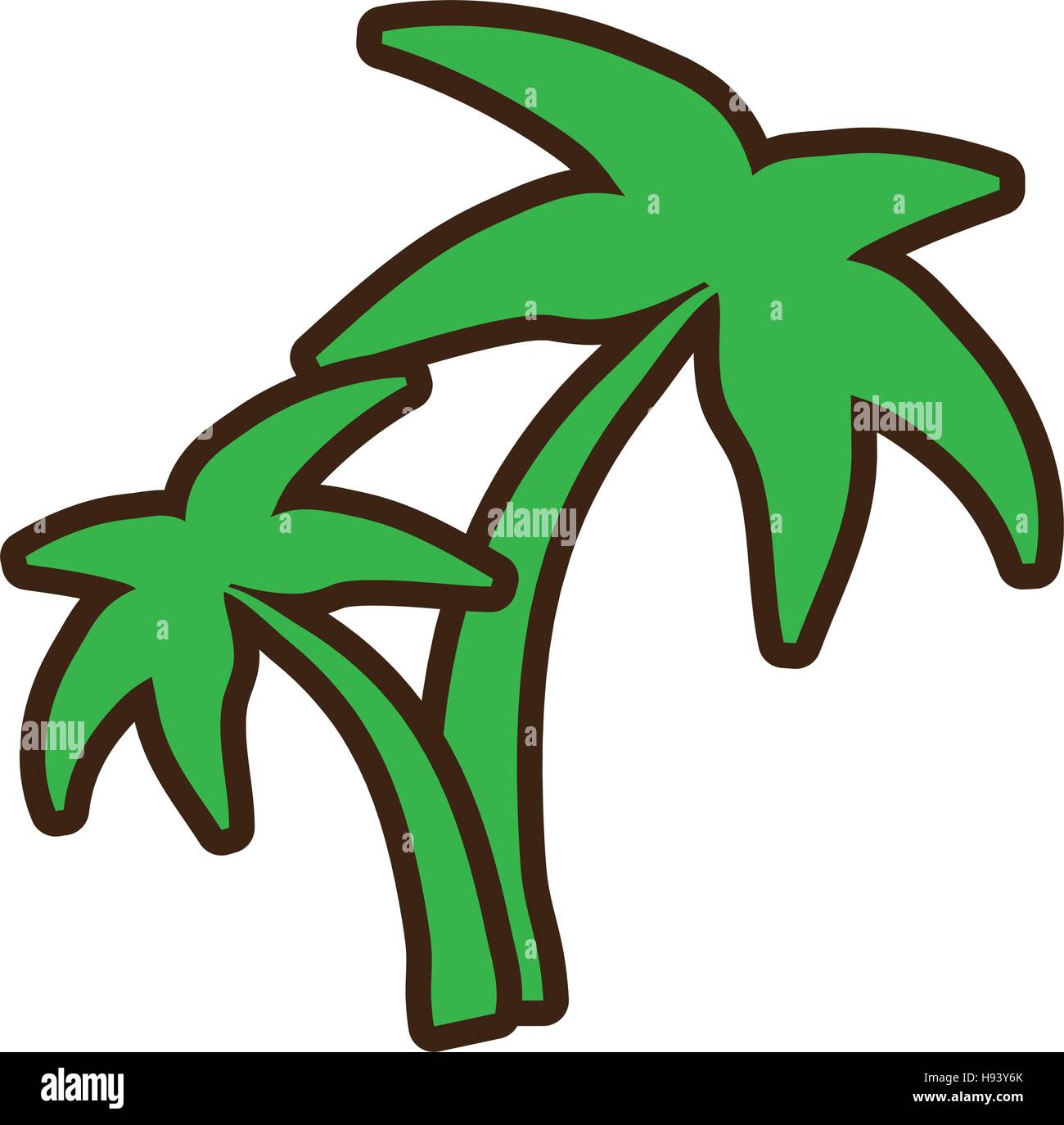 tree palm tropical isolated icon Stock Vector Image & Art - Alamy