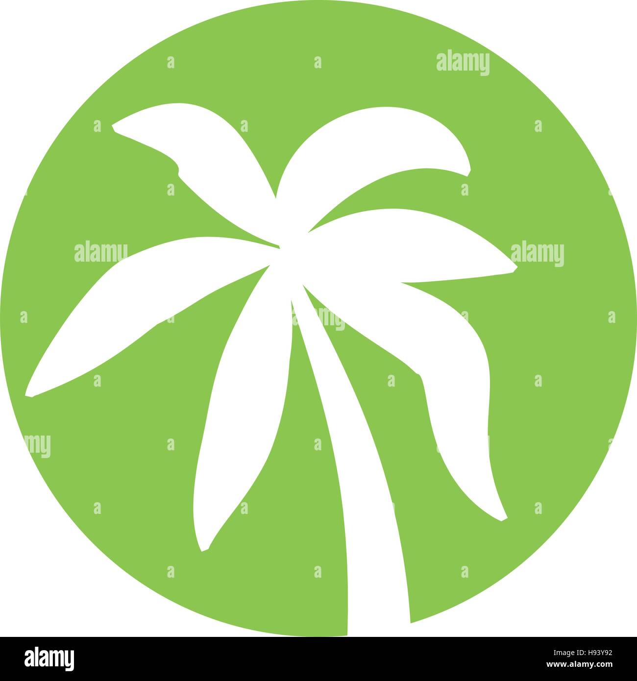 tree palm tropical isolated icon Stock Vector Image & Art - Alamy