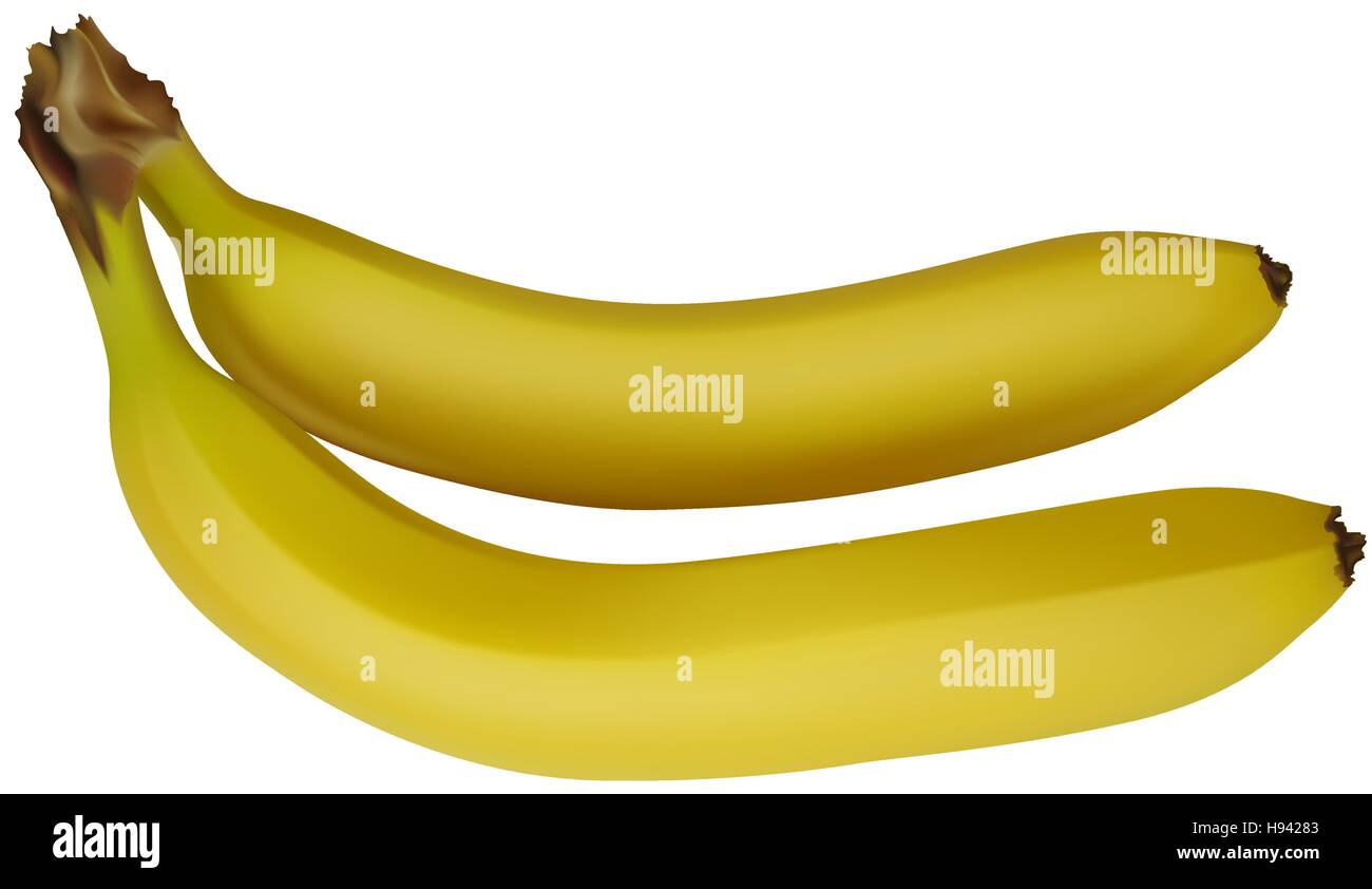 Yellow Bananas Stock Vector