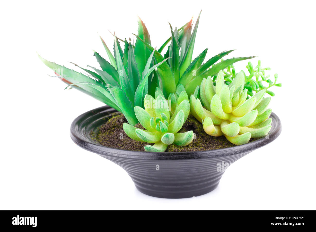 Artificial plants in pot isolated on white background Stock Photo Alamy