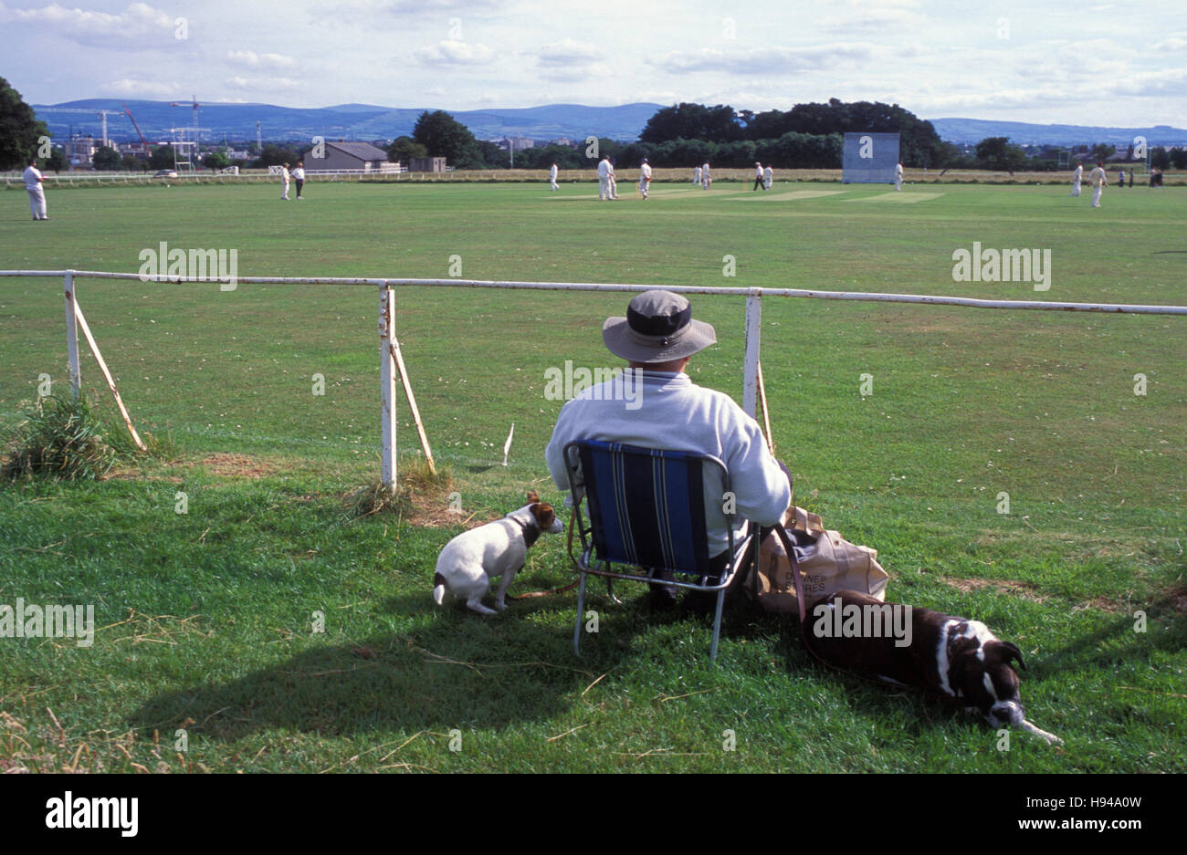 Man with dogs watching cricket, sport, Phoenix Cricket Club, Phoenix