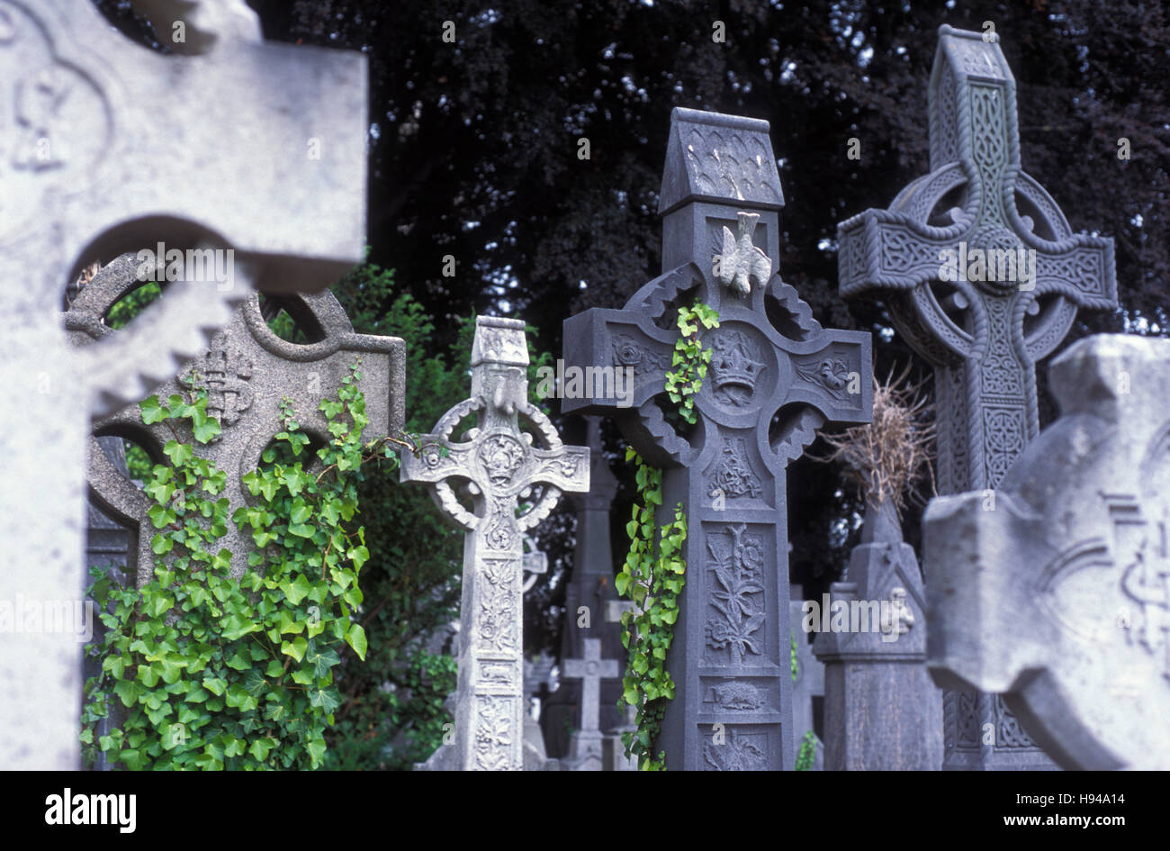 Celtic crosses, grave stones, grave art, Glasnevin cemetery, Dublin