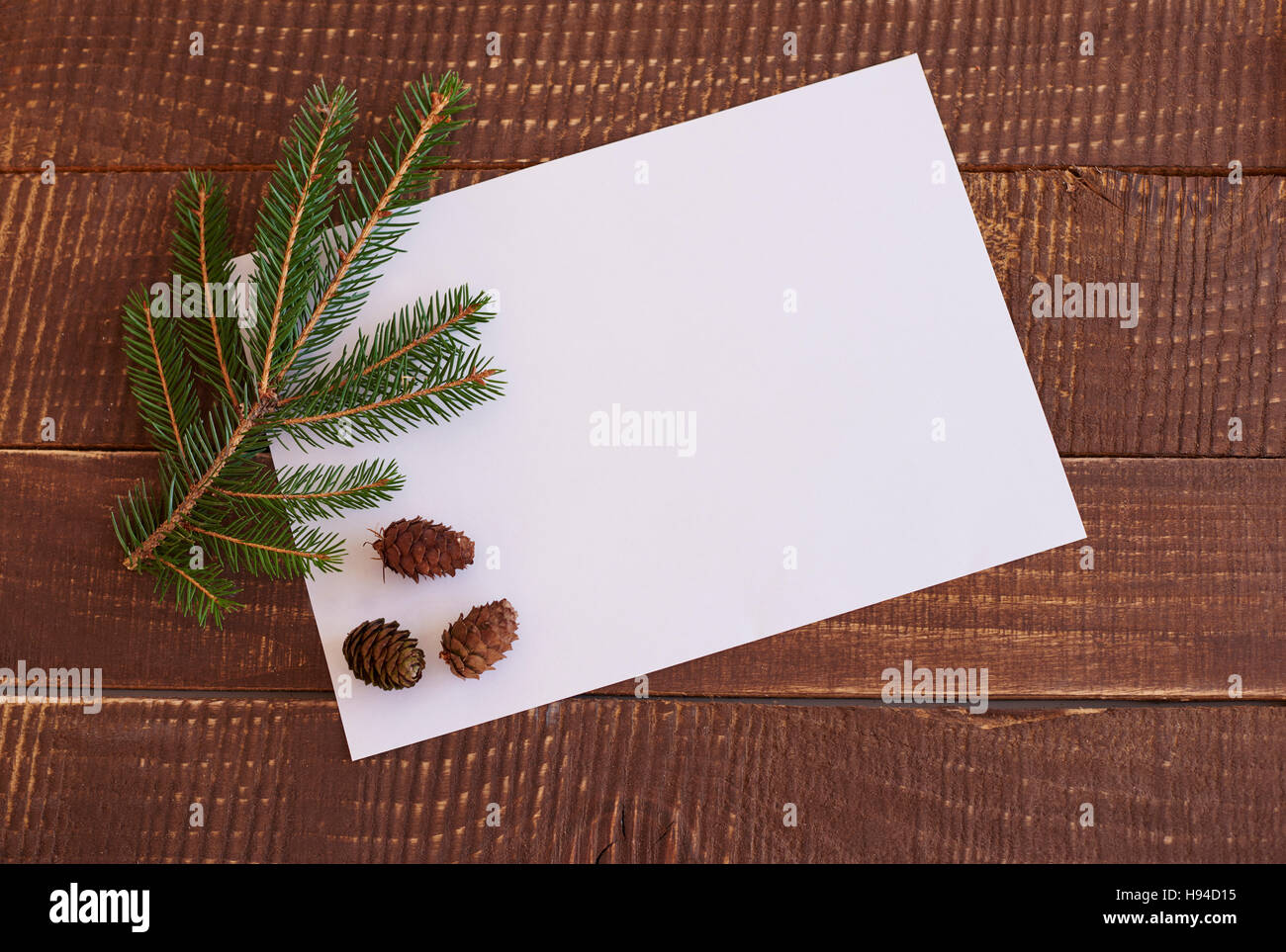 Branch with pine cones on the paper Stock Photo - Alamy