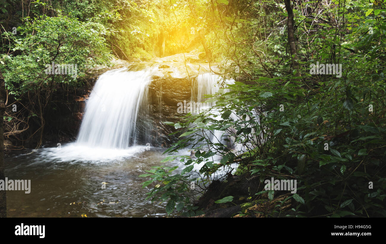 waterfall and creek in tropical jungle rain forest Stock Photo - Alamy