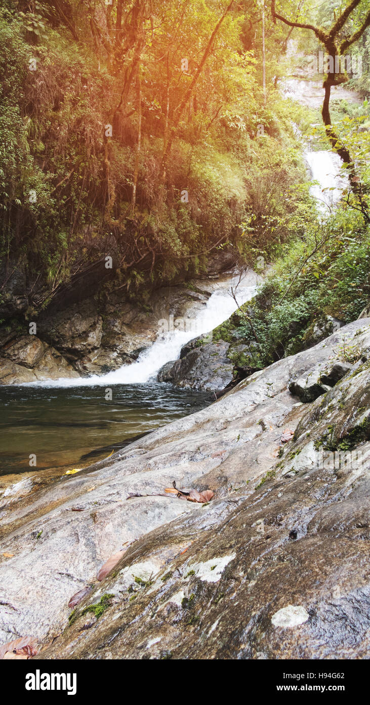 waterfall and creek in tropical jungle rain forest Stock Photo - Alamy