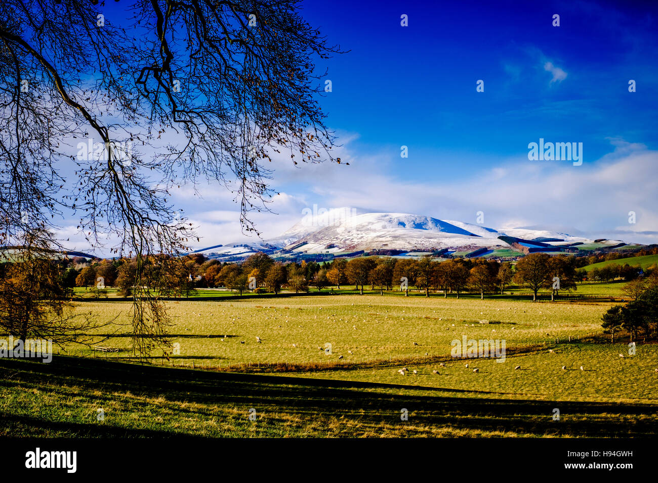 Tinto Hill - All You Need to Know BEFORE You Go (with Photos)